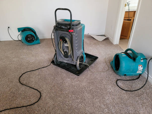 Best Water damage cleanup near me  in Merriam Woods, MO